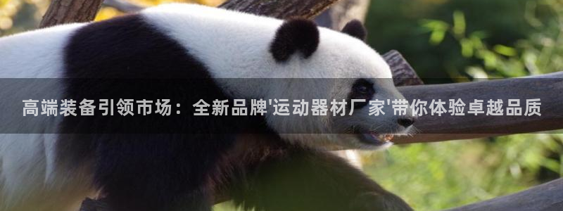 熊猫体育娱乐：高端装备引领市场：全新品牌\'运动器材厂家\'