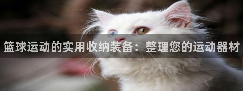 熊猫体育娱乐是那个系列的台子：篮球运动的实用收纳装备