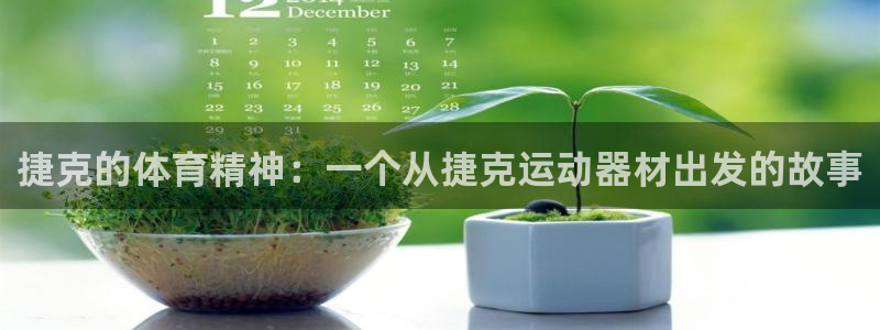 熊猫体育官网下载是干嘛的公司：捷克的体育精神：一个从捷克运动