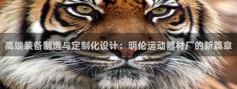 熊猫体育娱乐40996：高端装备制造与定制化设计：明伦运动器