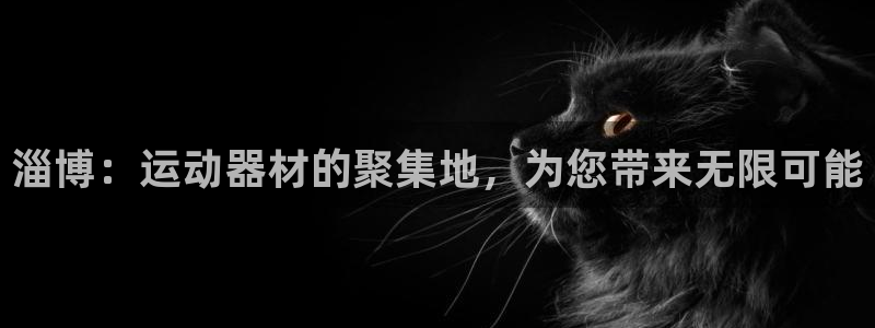 熊猫体育娱乐首页官网下载：淄博：运动器材的聚集地，为您带来无