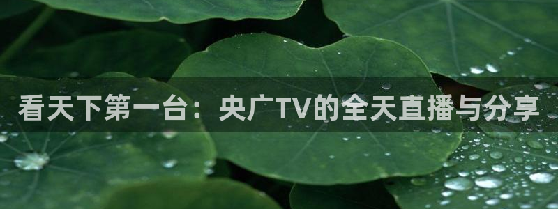 绿茵直播体育在线观看免费高清：看天下第一台：央广TV的全天直播与分享