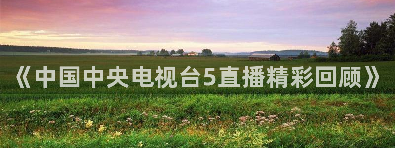 足球:无敌之全能绿茵巨星：《中国中央电视台5直播精彩回顾》