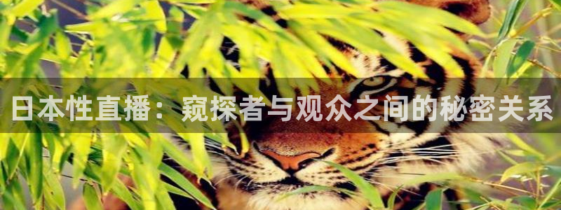 绿茵足球免费直播：日本性直播：窥探者与观众之间的秘密关系