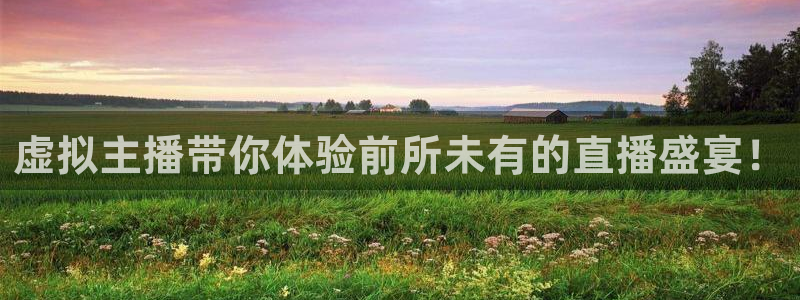 球球看绿茵：虚拟主播带你体验前所未有的直播盛宴！