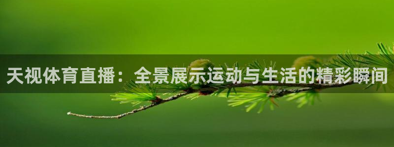 绿茵直播：天视体育直播：全景展示运动与生活的精彩瞬间