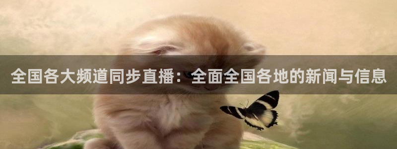 绿茵直播体育在线观看免费高清：全国各大频道同步直播：全面全国各地的新闻与信息
