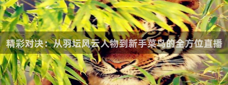 绿茵体育直播平台：精彩对决：从羽坛风云人物到新手菜鸟的全方位直播